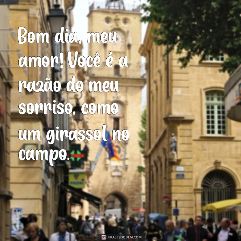 Bom Dia, Girassol: Mensagens de Amor para Iluminar seu Dia 