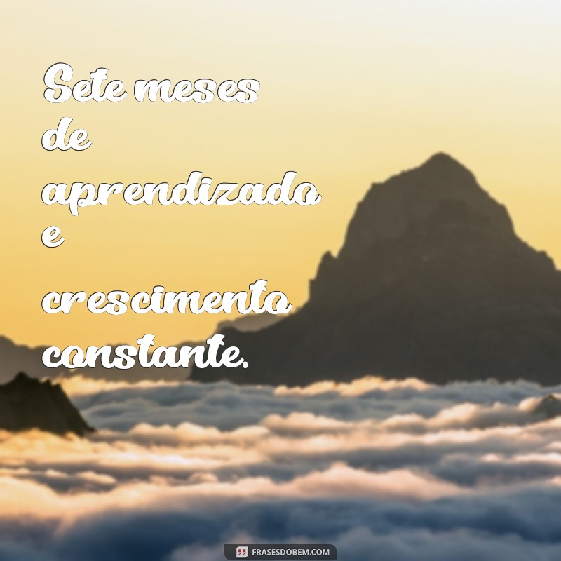 frases de 7 meses Sete meses de aprendizado e crescimento constante.