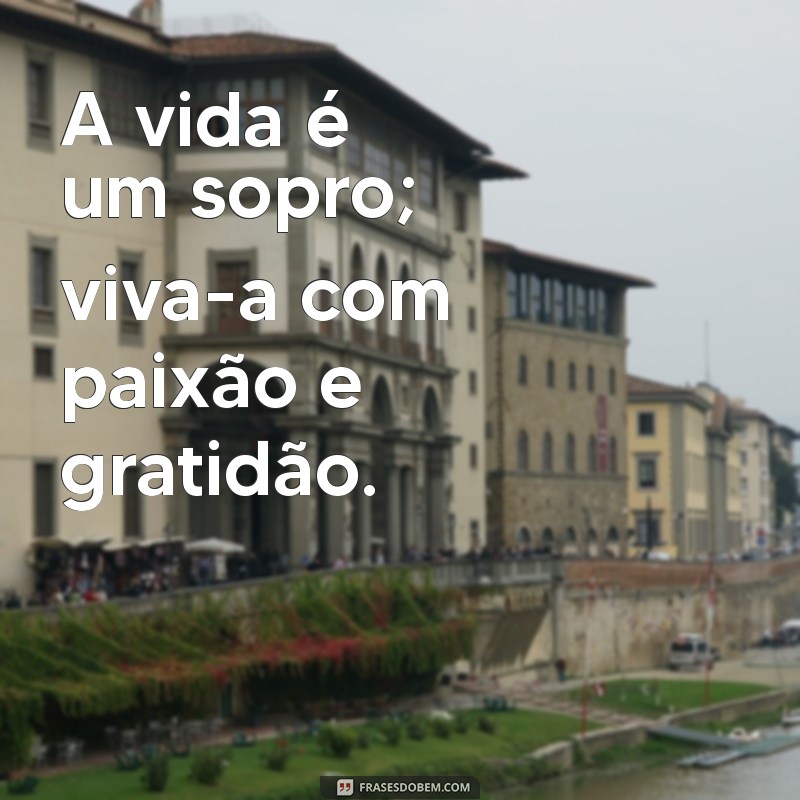 Reflexões sobre a Vida Passageira: Como Aproveitar Cada Momento 