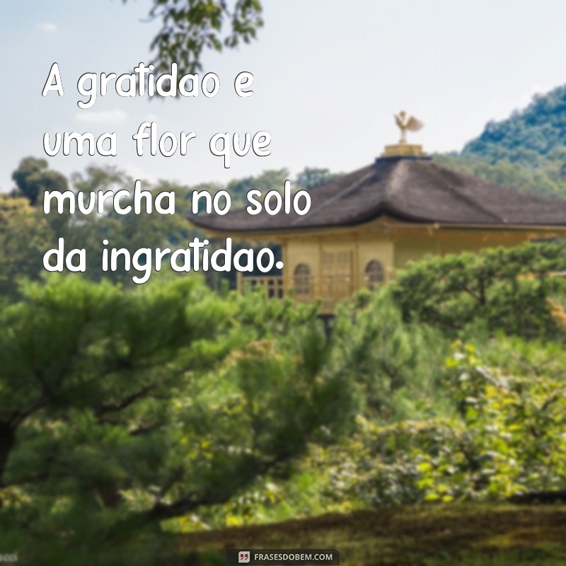 Frases Impactantes sobre o Mal Agradecido: Reflexões e Lições 