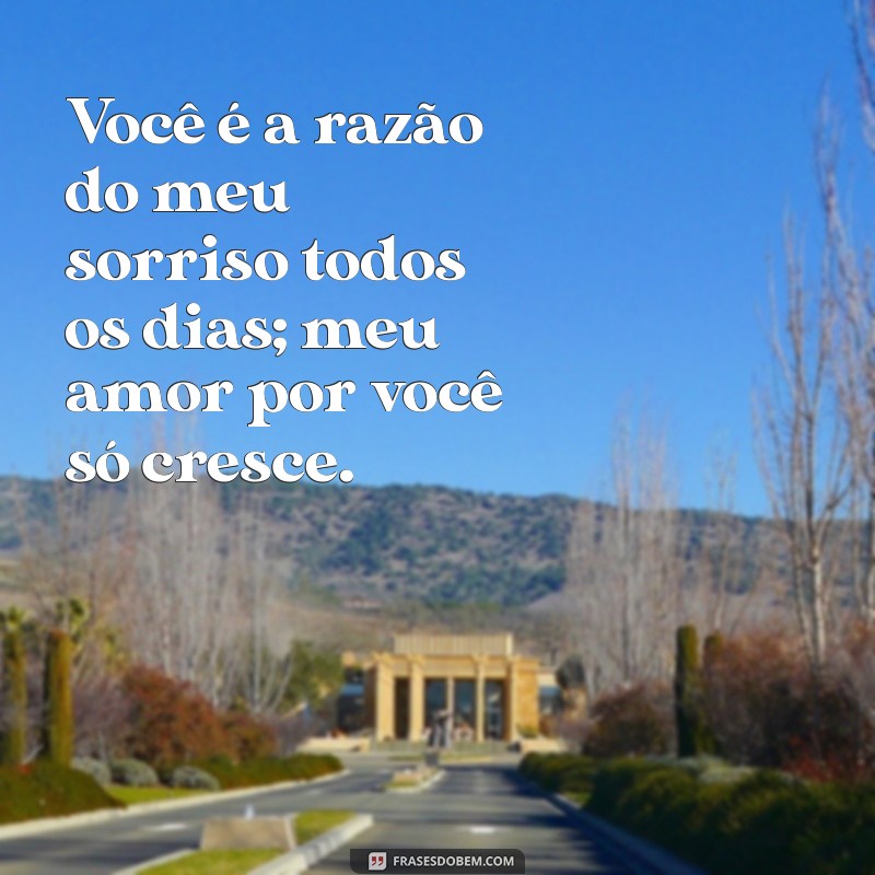 frases de amor para meu marido Você é a razão do meu sorriso todos os dias; meu amor por você só cresce.