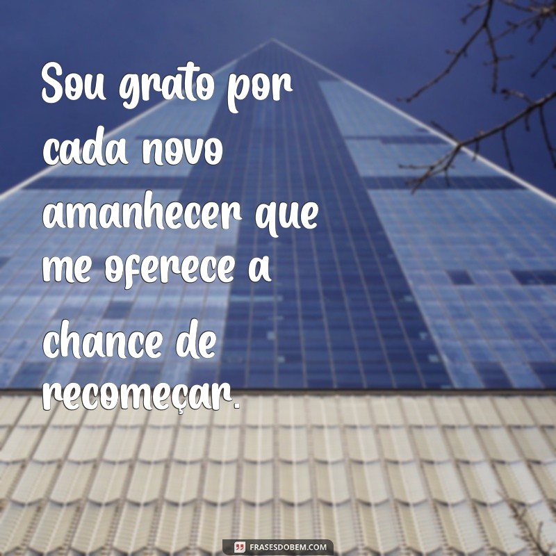 oração de gratidão Sou grato por cada novo amanhecer que me oferece a chance de recomeçar.