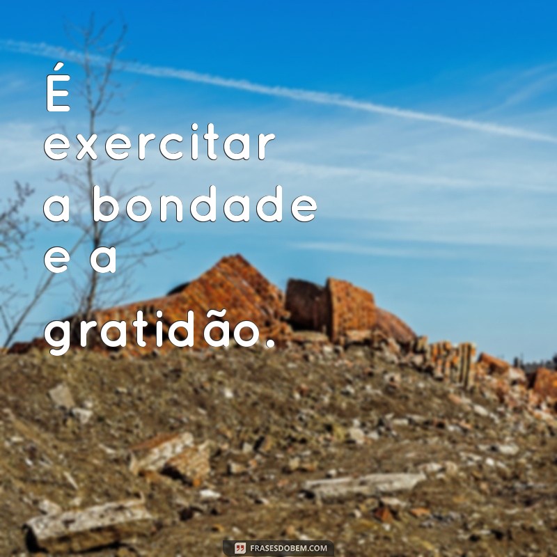 Descubra o verdadeiro significado da solidariedade com essas inspiradoras frases 