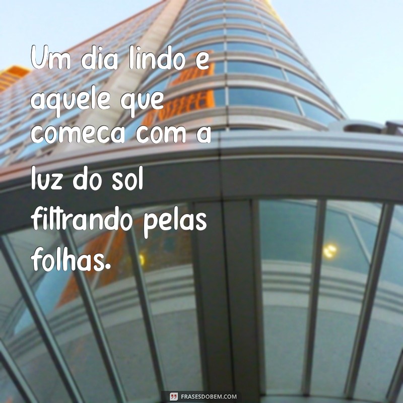 um dia lindo Um dia lindo é aquele que começa com a luz do sol filtrando pelas folhas.