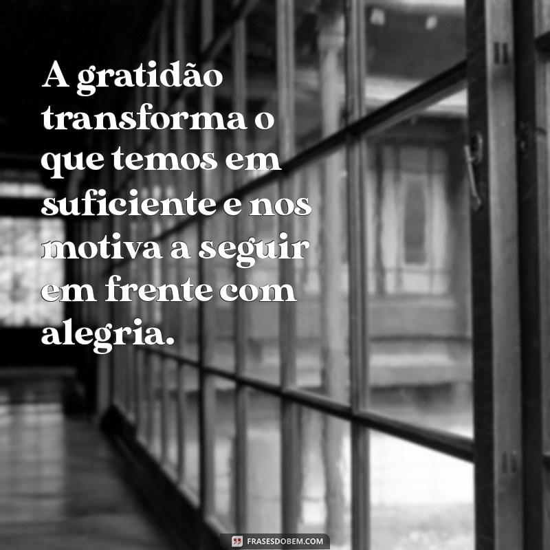 frases de motivação e agradecimento A gratidão transforma o que temos em suficiente e nos motiva a seguir em frente com alegria.