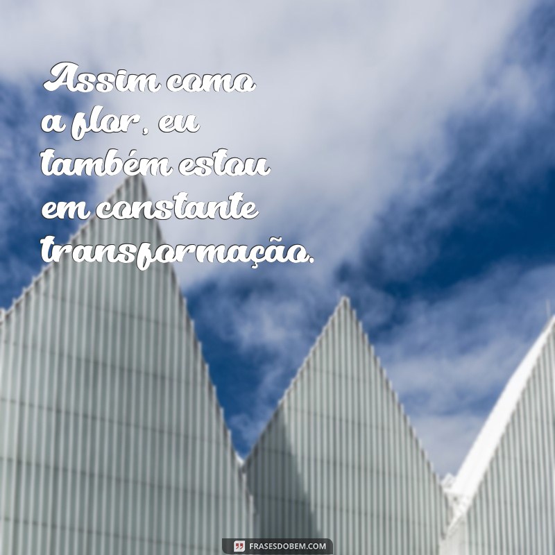 Frases Inspiradoras sobre Florescer para Acompanhar Suas Fotos 