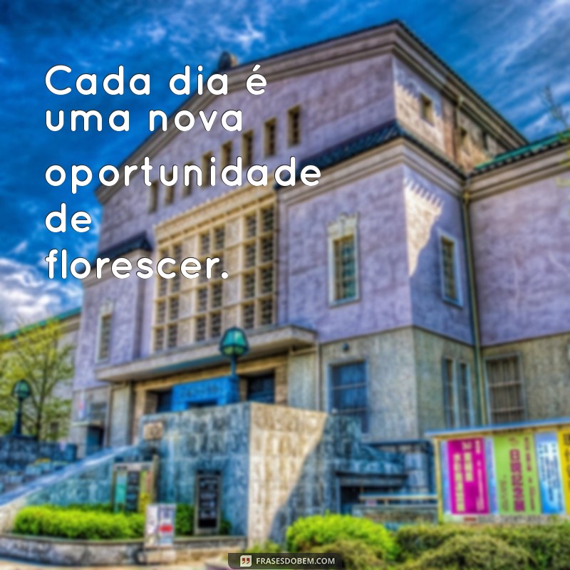 Frases Inspiradoras sobre Florescer para Acompanhar Suas Fotos 