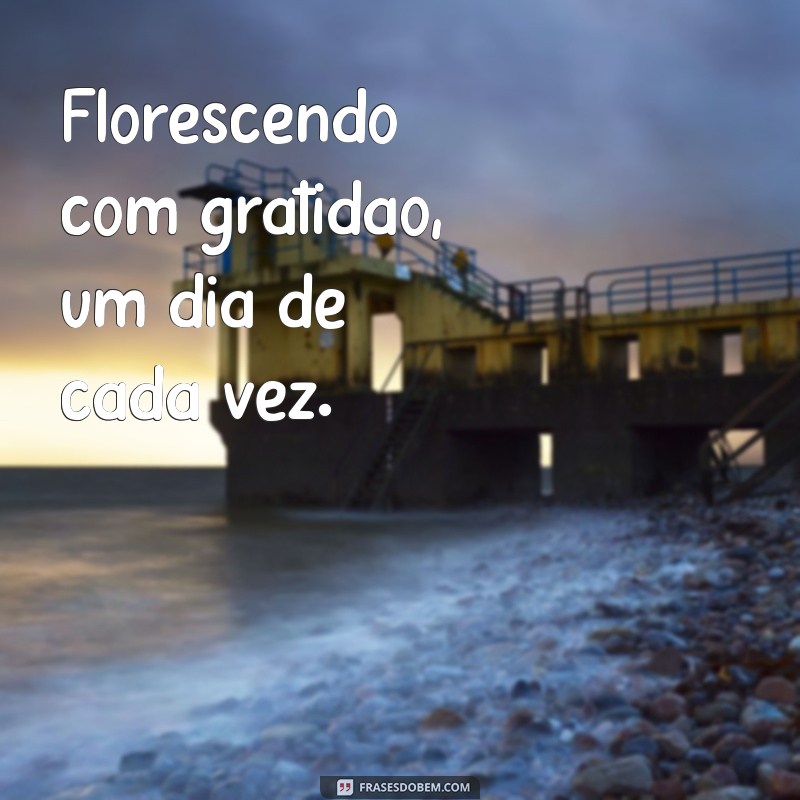 Frases Inspiradoras sobre Florescer para Acompanhar Suas Fotos 