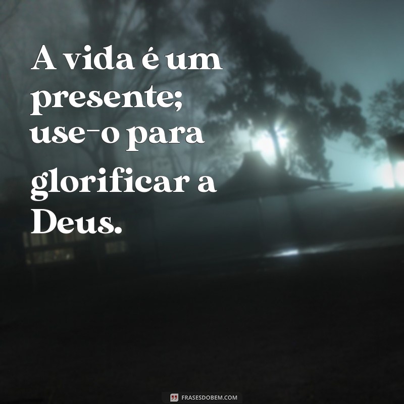 Inspire-se com as Melhores Frases Religiosas Católicas para Reflexão e Fé 