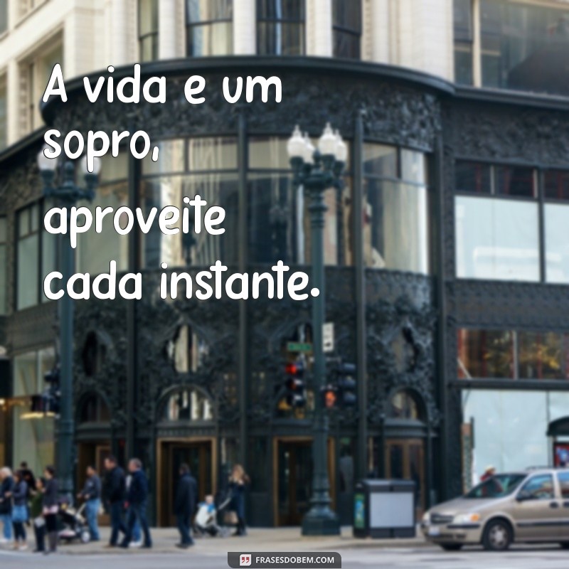 frases da vida passageira A vida é um sopro, aproveite cada instante.