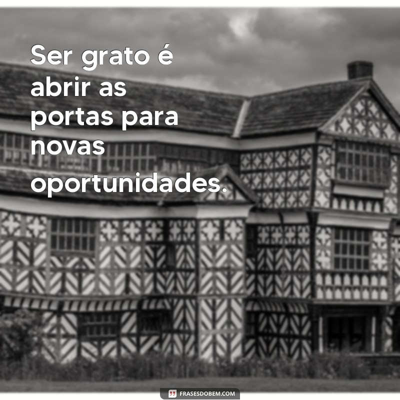 Frases Inspiradoras de Gratidão para Transformar Seu Dia 