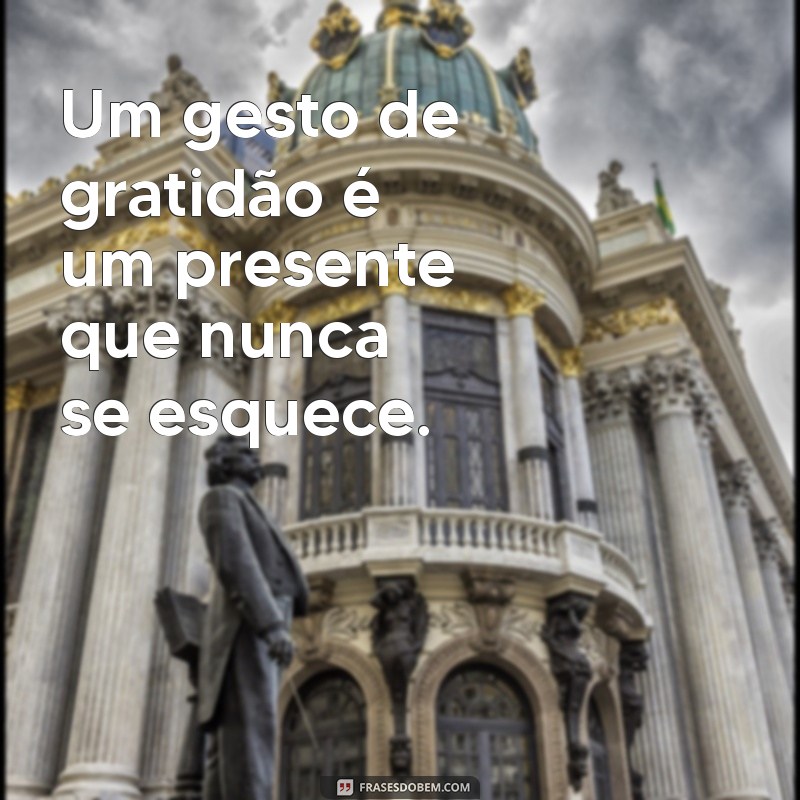 Frases Inspiradoras de Gratidão para Transformar Seu Dia 