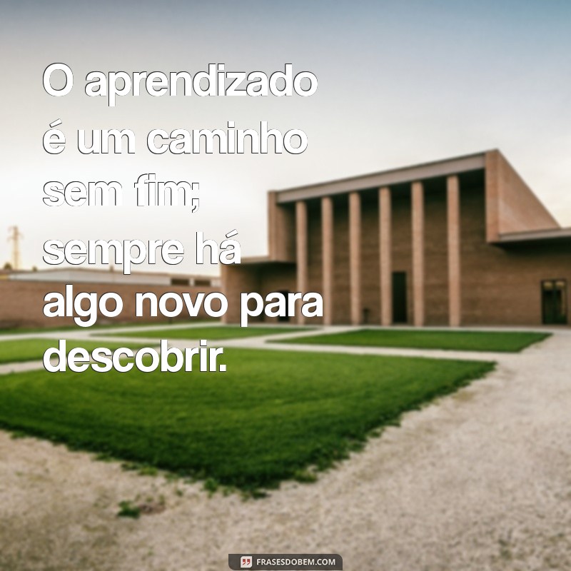 Frases Motivacionais Inspiradoras para Transformar sua Educação 