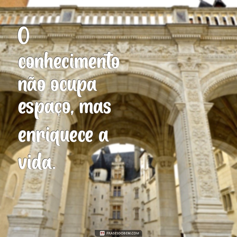 Frases Motivacionais Inspiradoras para Transformar sua Educação 