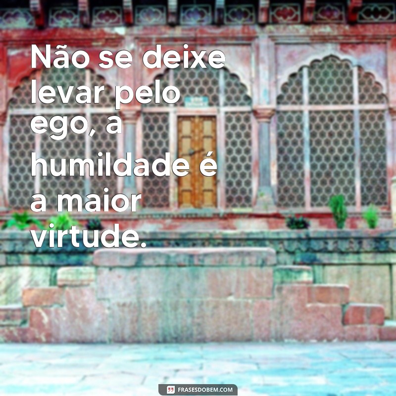 Reflexão e Inspiração: As Mais Lindas Frases para Transformar sua Vida 