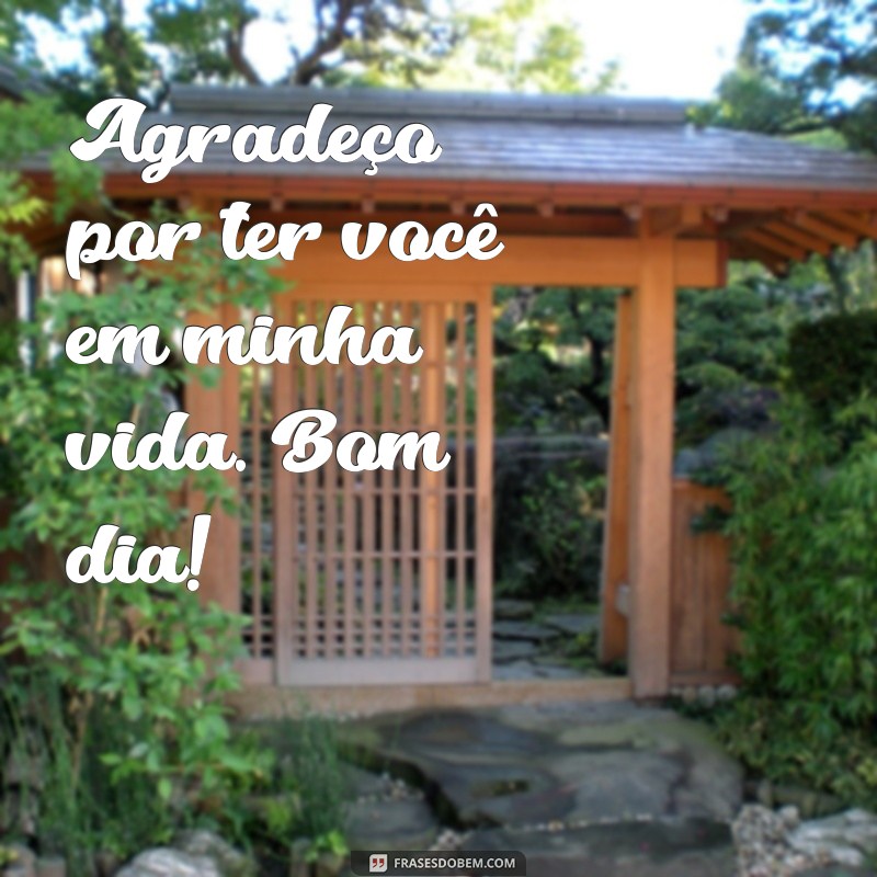 Encante seu dia com as melhores frases de bom dia: confira nossas sugestões! 