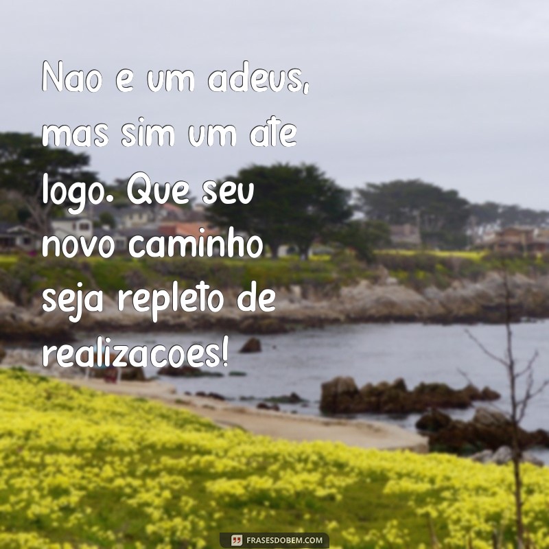 Despedida de uma Amiga de Trabalho: Mensagens Emocionantes para Agradecer e Lembrar 