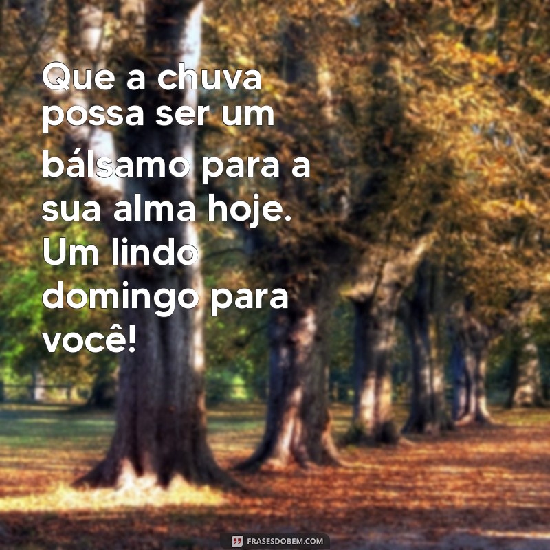 Frases Inspiradoras para um Bom Dia em um Domingo Chuvoso 