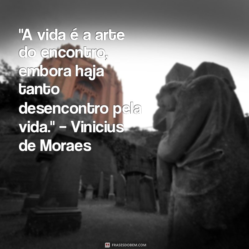 frases sobre a vida filosofos 