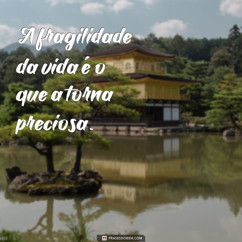 Descubra as Melhores Frases de Fernando Pessoa para Inspirar sua Vida 