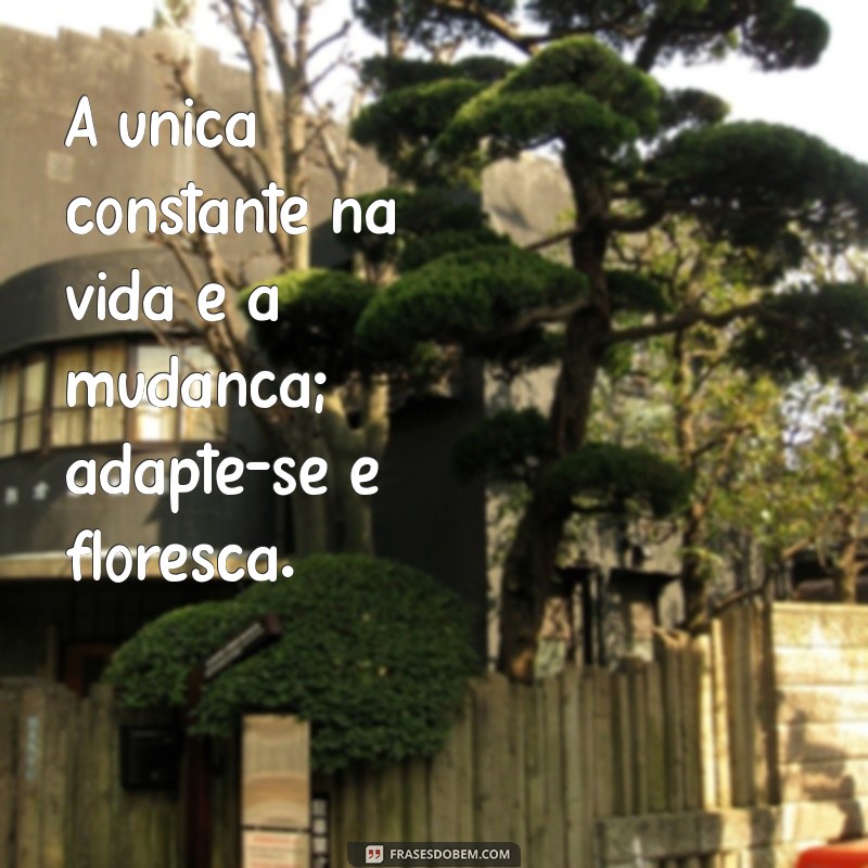 Frases Inspiradoras para Seguir em Frente na Vida 