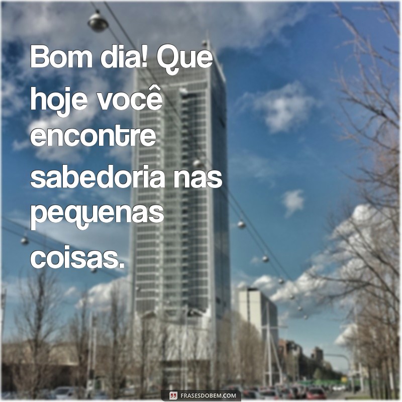 bom dia sabedoria da vida Bom dia! Que hoje você encontre sabedoria nas pequenas coisas.