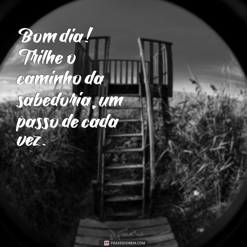 Bom Dia: Frases Inspiradoras para Começar o Dia com Sabedoria 