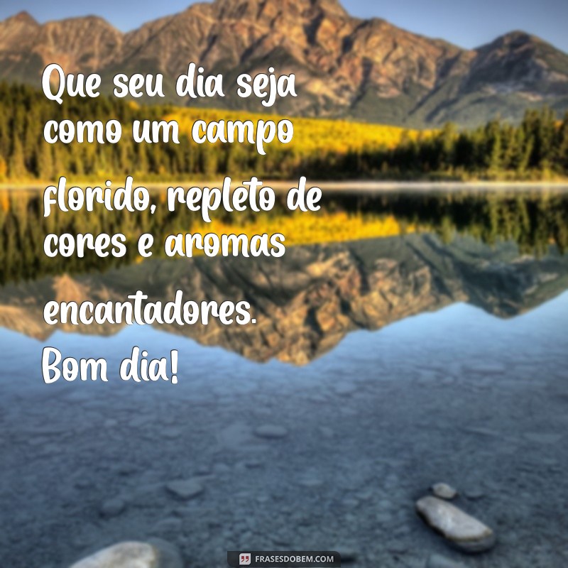 Bom Dia: Mensagens de Reflexão para Começar o Dia com Positividade 