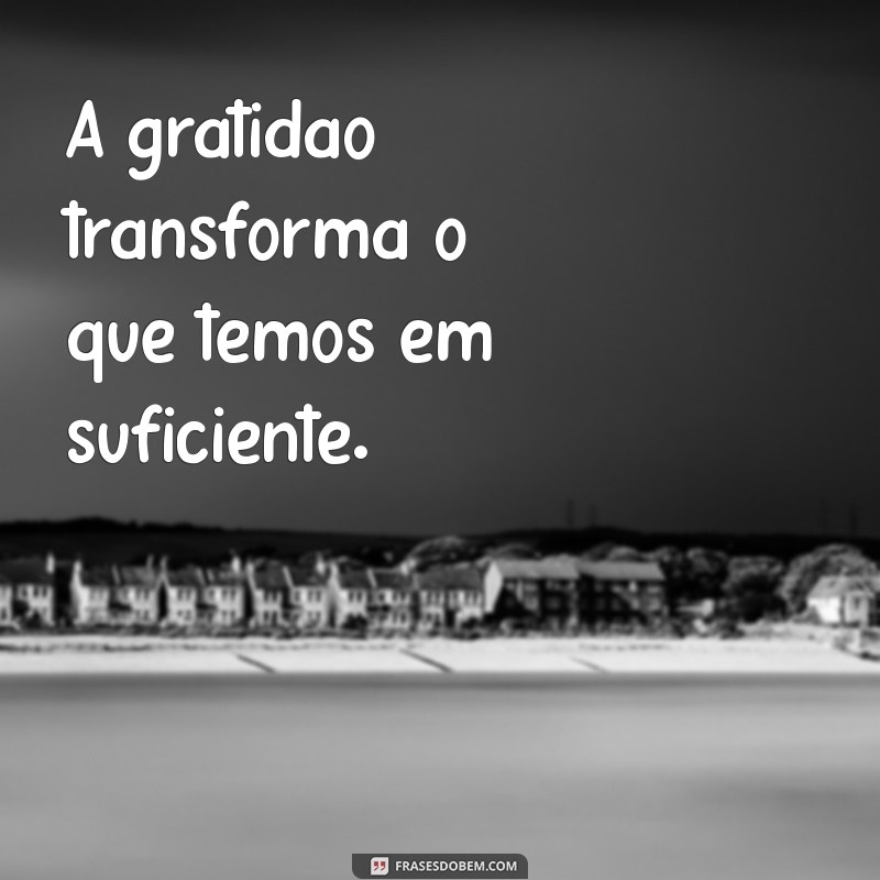 pensamento do dia de hoje A gratidão transforma o que temos em suficiente.