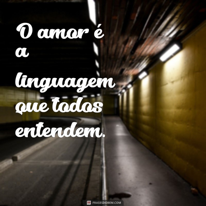 100 Frases Bonitas para Status do WhatsApp que Encantam e Inspiram 