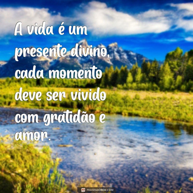 reflexão espírita sobre a vida A vida é um presente divino, cada momento deve ser vivido com gratidão e amor.