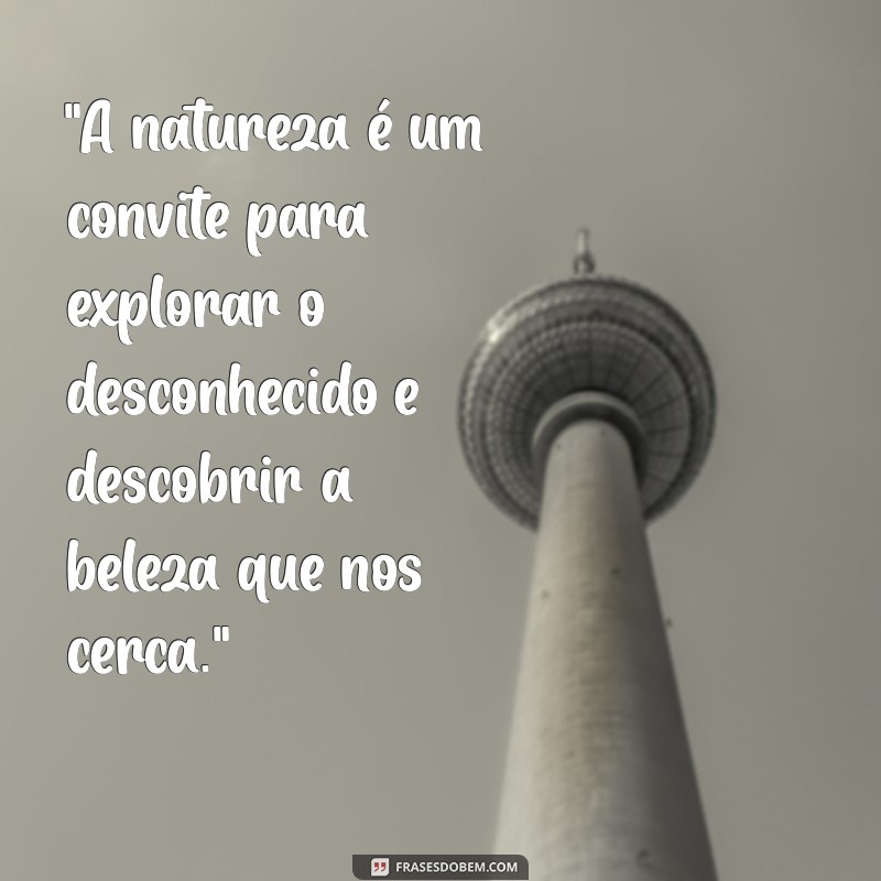 frases aventura natureza 