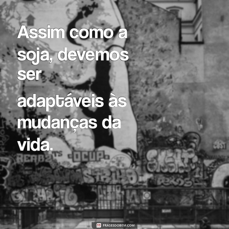 As Melhores Frases sobre Soja: Inspiração e Curiosidades 