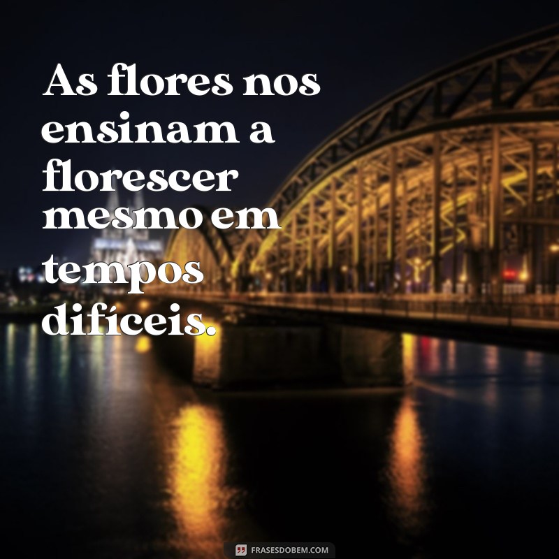 Frases Encantadoras de Flores para Acompanhar Suas Fotos 