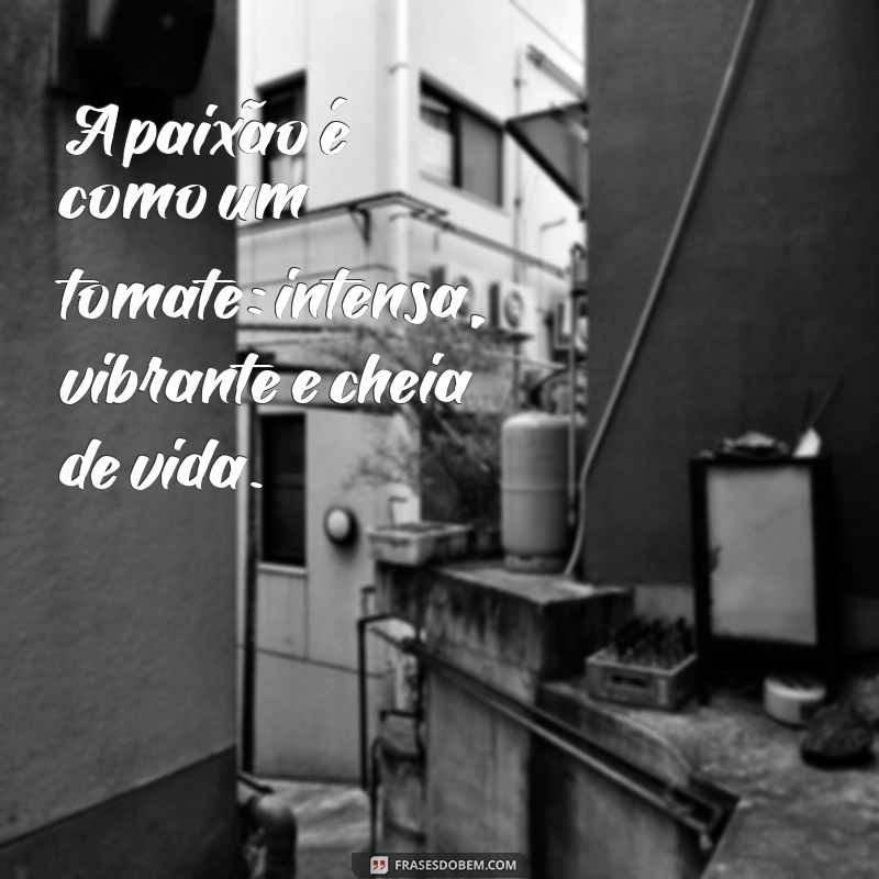 Frases Criativas e Divertidas sobre Tomate para Inspirar seu Dia 