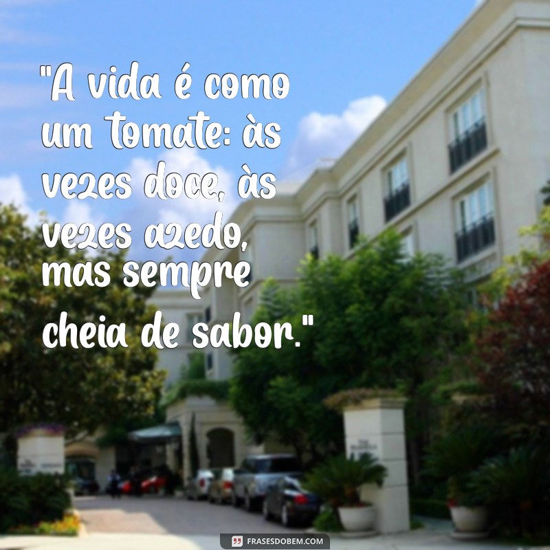 frases com tomate 