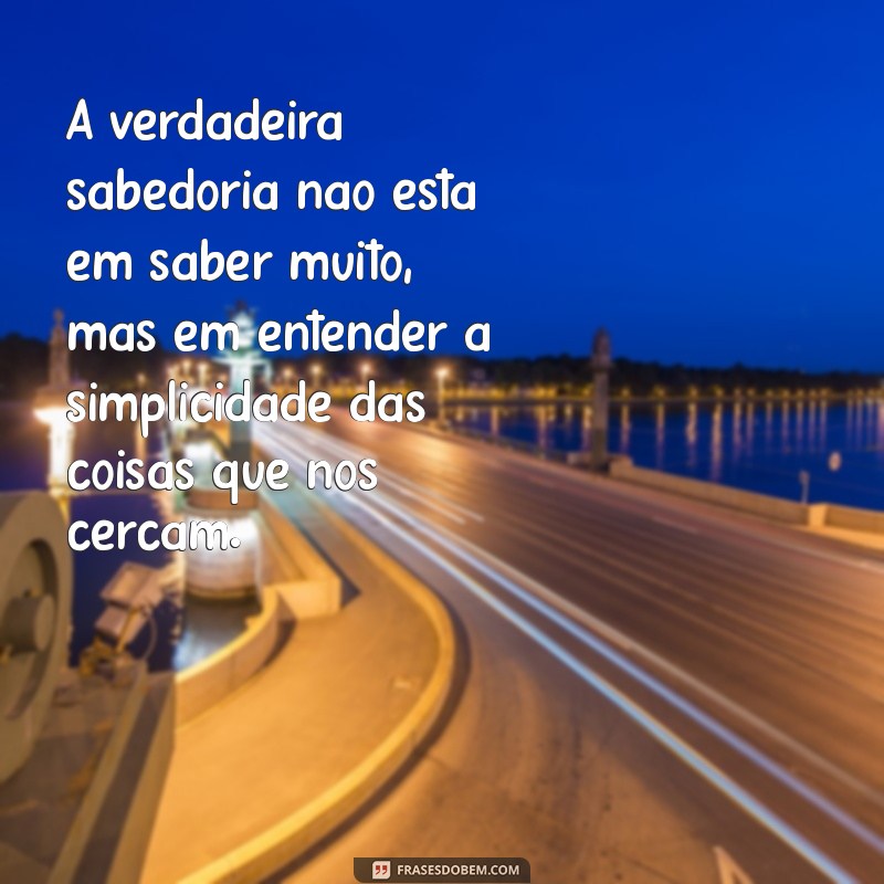 maior texto do mundo A verdadeira sabedoria não está em saber muito, mas em entender a simplicidade das coisas que nos cercam.