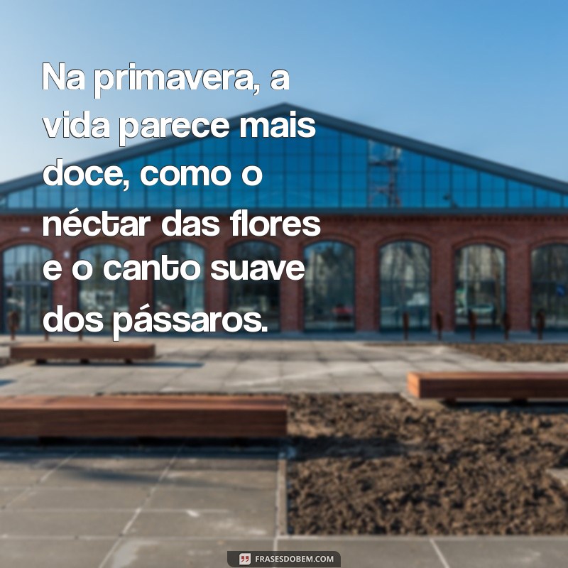 Descubra a Magia da Primavera: Curiosidades, Dicas e Inspirações para Celebrar a Estação 