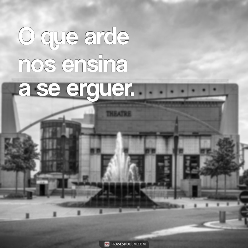 Frases Curtas Inspiradoras da Fênix: Renove Sua Motivação 