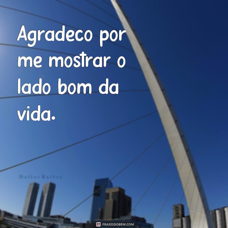 10 Mensagens Curtas de Agradecimento para Expressar sua Gratidão 