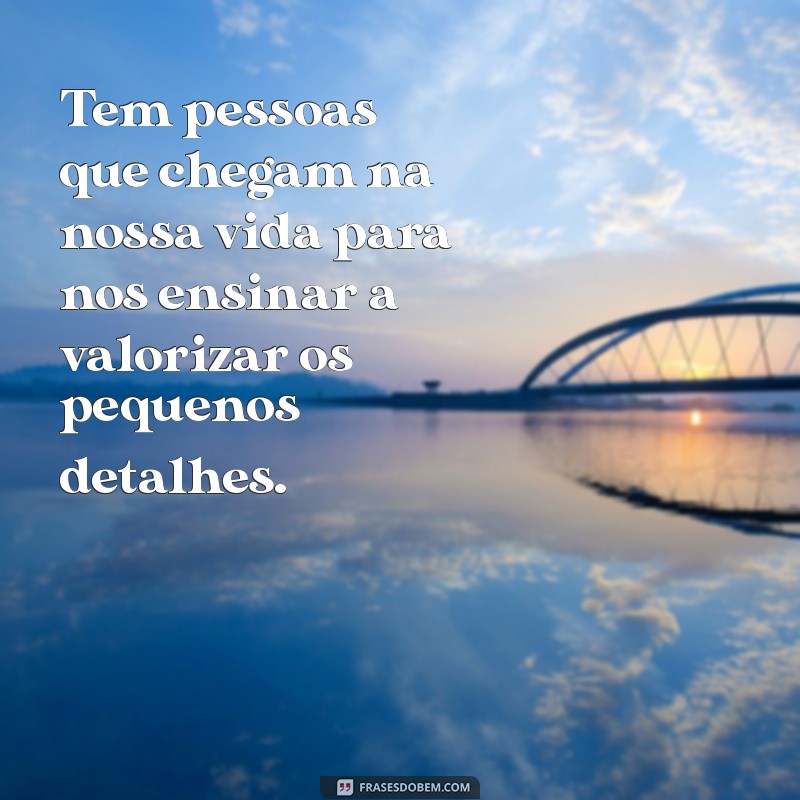 tem pessoas que chegam na nossa vida Tem pessoas que chegam na nossa vida para nos ensinar a valorizar os pequenos detalhes.