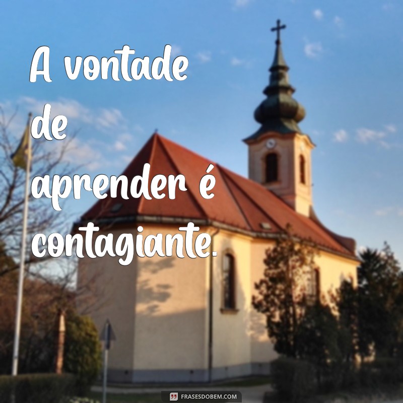 Frases Curtas para Inspirar Seus Estudos: Motivação e Dicas Práticas 