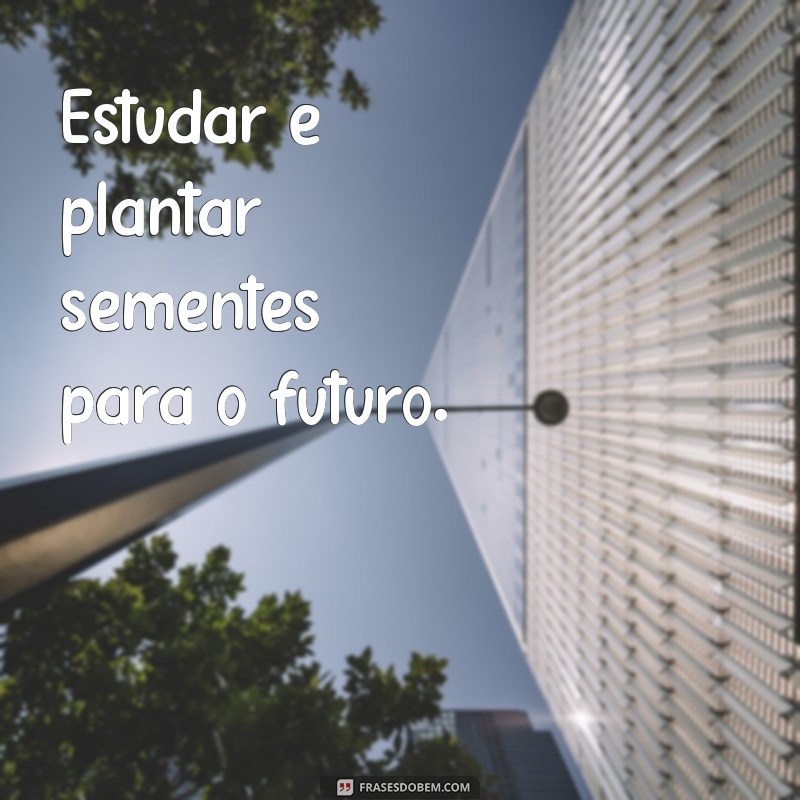 Frases Curtas para Inspirar Seus Estudos: Motivação e Dicas Práticas 