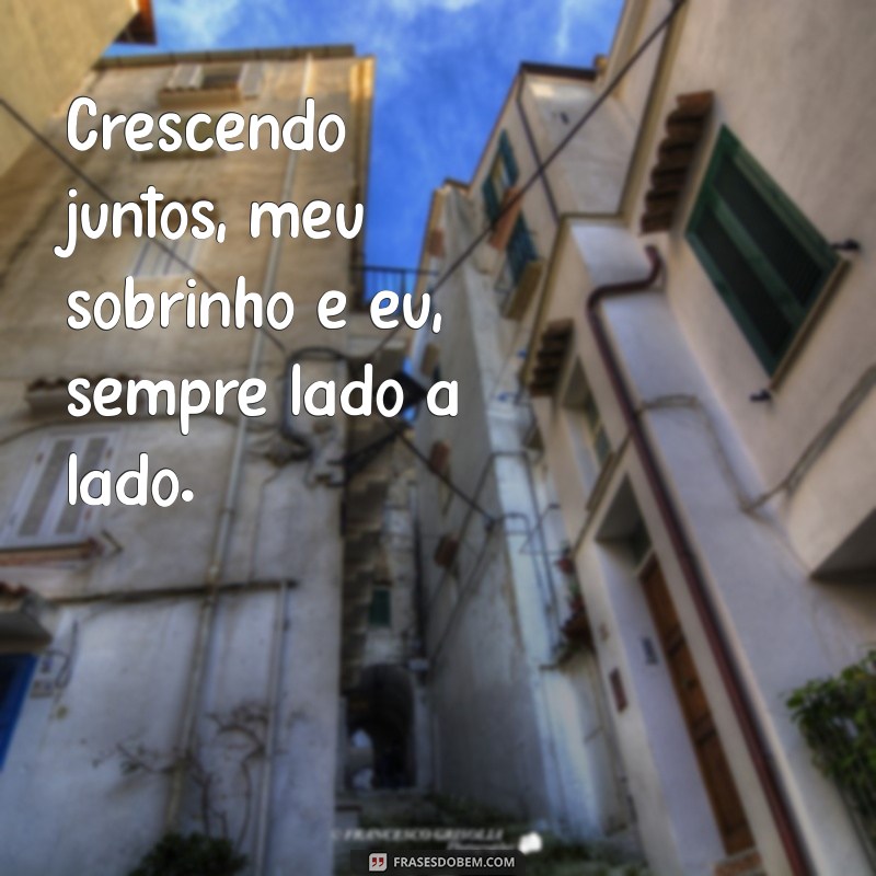 As Melhores Frases para Legendar Fotos do Seu Sobrinho 