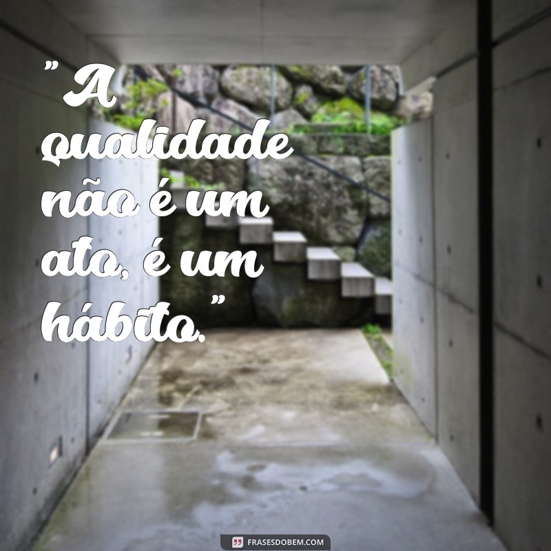 frases qualidade 