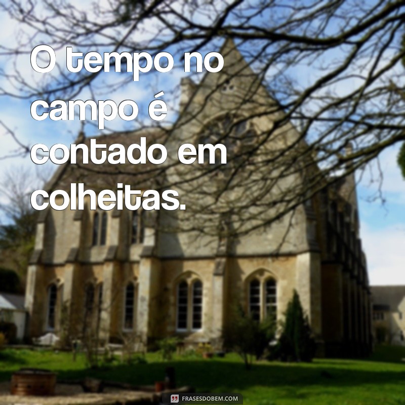 Frases Inspiradoras do Agronegócio: Reflexões e Sabedoria do Campo 