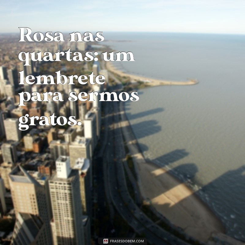 Frases Inspiradoras para Usar Rosa nas Quartas-Feiras 