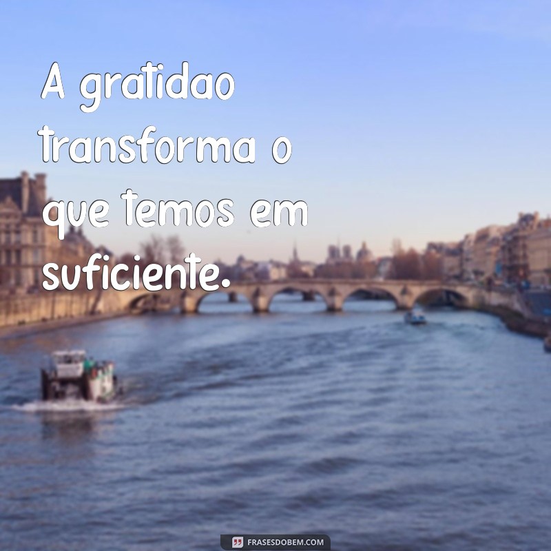 frases diamante A gratidão transforma o que temos em suficiente.