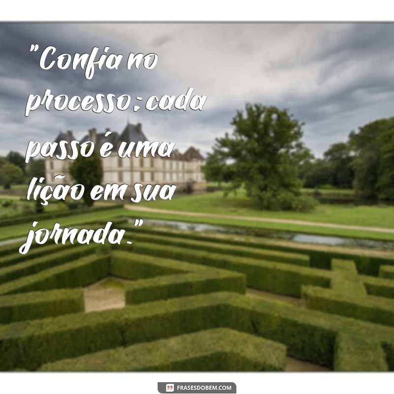 confia no processo frases 