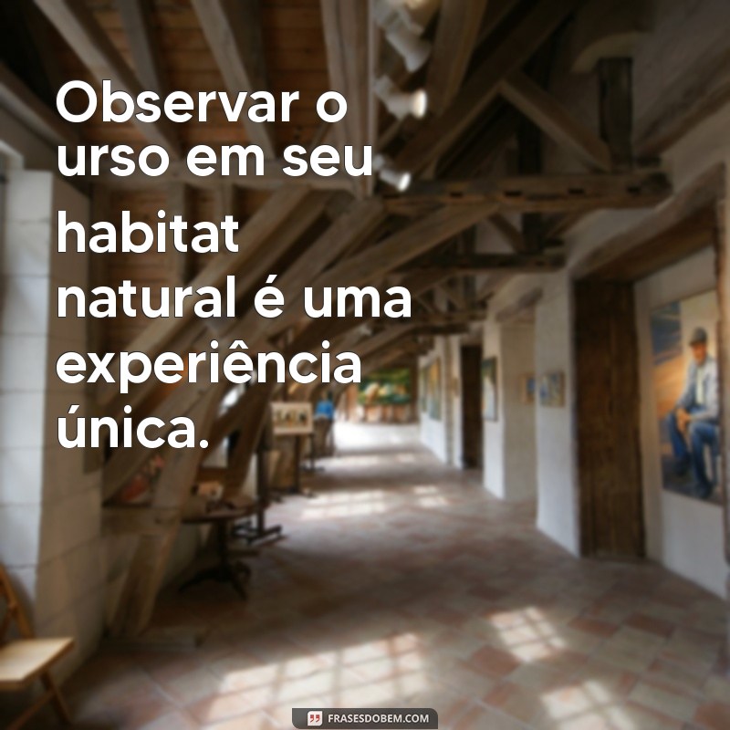 Descubra Curiosidades Fascinantes Sobre o Urso: O Rei das Florestas 